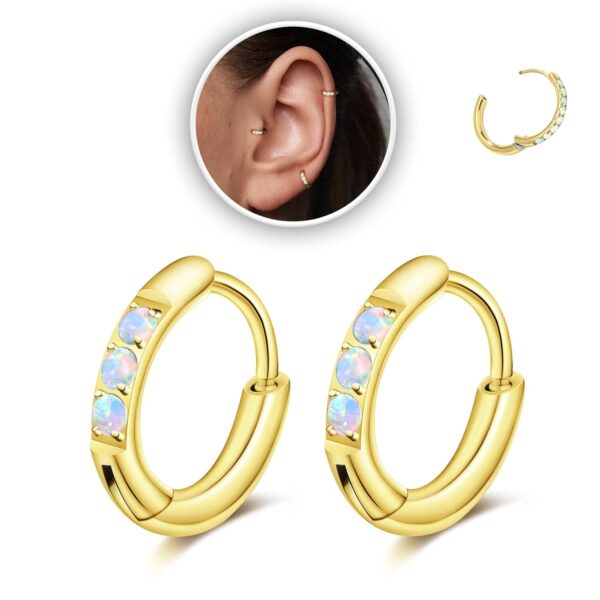 Small Hoop Earrings for Women